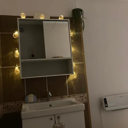 Carpe Diem * De Haan