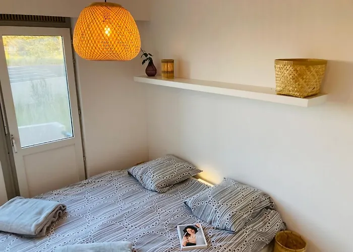 Carpe Diem * De Haan